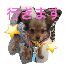 [LINEスタンプ] chiwa＆yo-chiwa.family2