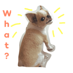 [LINEスタンプ] My little sunny