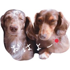 [LINEスタンプ] ちくわとつみれ