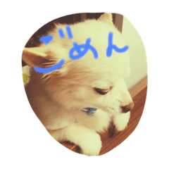 [LINEスタンプ] むくくくーん