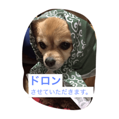 [LINEスタンプ] さくらの顏で表現スタンプ