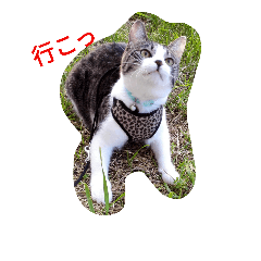 [LINEスタンプ] あそぼ。