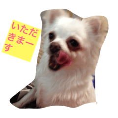 [LINEスタンプ] doing