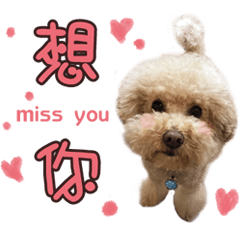 [LINEスタンプ] Shieh point point