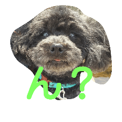 [LINEスタンプ] dog and animal's