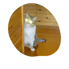 [LINEスタンプ] mosomoso