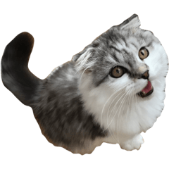 [LINEスタンプ] NEKO YASHIKI