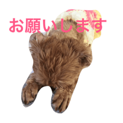 [LINEスタンプ] ポッケ