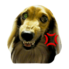 [LINEスタンプ] 私の愛する愛犬