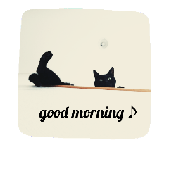 [LINEスタンプ] blackcat aloha
