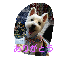 [LINEスタンプ] wanwanparadise with marin