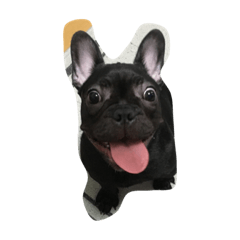 [LINEスタンプ] remon buhi