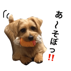 [LINEスタンプ] ちょちょやま やまちょ