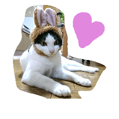 [LINEスタンプ] cat paradaice
