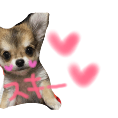 [LINEスタンプ] 凜との日々
