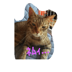 [LINEスタンプ] kibunyapopo