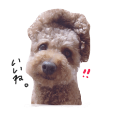 [LINEスタンプ] チェリー＆ゆず