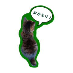 [LINEスタンプ] ナリタの日常 おまけ付き