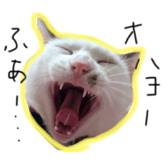 [LINEスタンプ] まろの毎日
