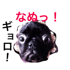 [LINEスタンプ] ひろちゃん特集！