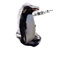[LINEスタンプ] ぺんスタ