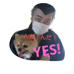 [LINEスタンプ] ポメラニアンシンちゃん3