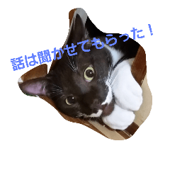 [LINEスタンプ] ショコラとナツメちゃん。