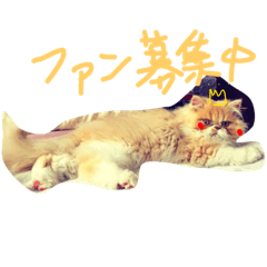 [LINEスタンプ] ばたーかっぷ