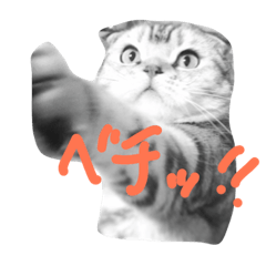[LINEスタンプ] タレ耳ねこのチョクロ