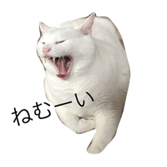 [LINEスタンプ] onemuneco