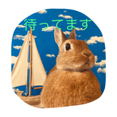 [LINEスタンプ] ウサギのくーちゃんスタンプ