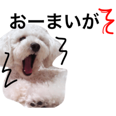 [LINEスタンプ] そうたん。