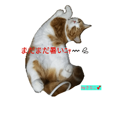 [LINEスタンプ] ねこ 仲良し