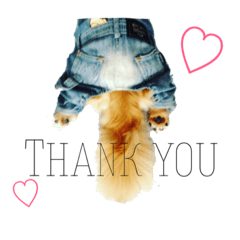 [LINEスタンプ] 短足部♡ミニチュアダックス