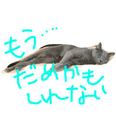 [LINEスタンプ] ネコ語録