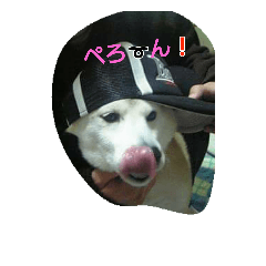 [LINEスタンプ] ぺろさん