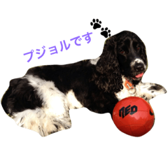 [LINEスタンプ] ぷぅちゃんスタンプ！