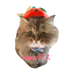 [LINEスタンプ] ララ好き