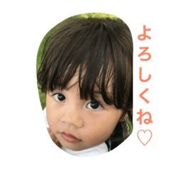 [LINEスタンプ] ひかすけ