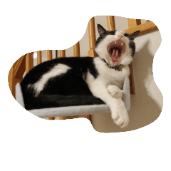 [LINEスタンプ] good - night