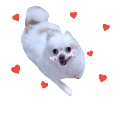 [LINEスタンプ] モフモフの日常