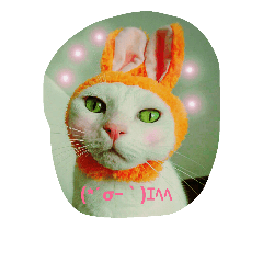 [LINEスタンプ] nekotomo