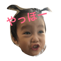 [LINEスタンプ] kaitotaiga