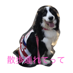 [LINEスタンプ] スプリンガーのリズとアネラ