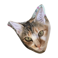 [LINEスタンプ] とと1