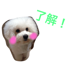 [LINEスタンプ] nachi＆futaro.kento
