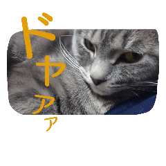 [LINEスタンプ] しょうたさんスタンプ