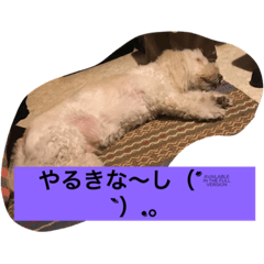 [LINEスタンプ] rikisama sanpo