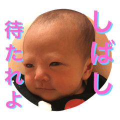 [LINEスタンプ] ひかたん0ヶ月