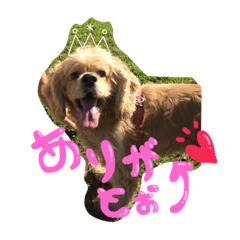 [LINEスタンプ] towari
